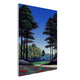 Cartpath Only - Canvas