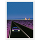 Desert Lights - Unframed