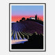 Vines At Dusk - Framed