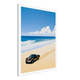 Baja Raptor - Canvas
