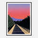 Rows Of Rose - Framed
