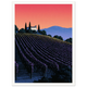 Villa On The Vines - Unframed